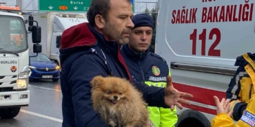 TEM’de cip istinat duvarına çarptı: Köpeğini bir an olsun bırakmadı