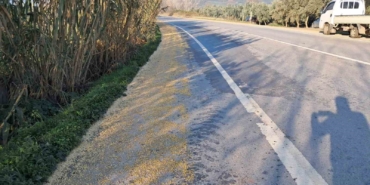 Tonlarca fasulye yollara saçıldı
