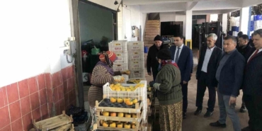 Türkiye’nin dört bir yanına bu soğuk hava deposundan meyveler gidiyor