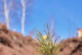 Uludağ Elektrik dijitalleşme çalışmalarıyla doğaya katkı sağlıyor