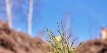 Uludağ Elektrik dijitalleşme çalışmalarıyla doğaya katkı sağlıyor