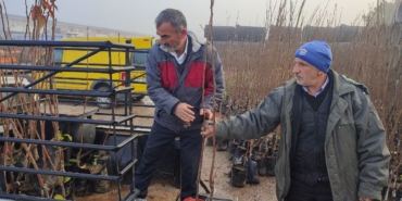 Üreticilere yüzde 50 hibeli Trabzon hurması ve yaban mersini fidanı