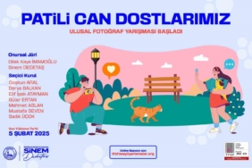 Üsküdar Belediyesi “Patili Can Dostlarımız” ulusal fotoğraf yarışması başladı