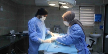 Yaralı halde bulunmuştu, adını portakal koydular