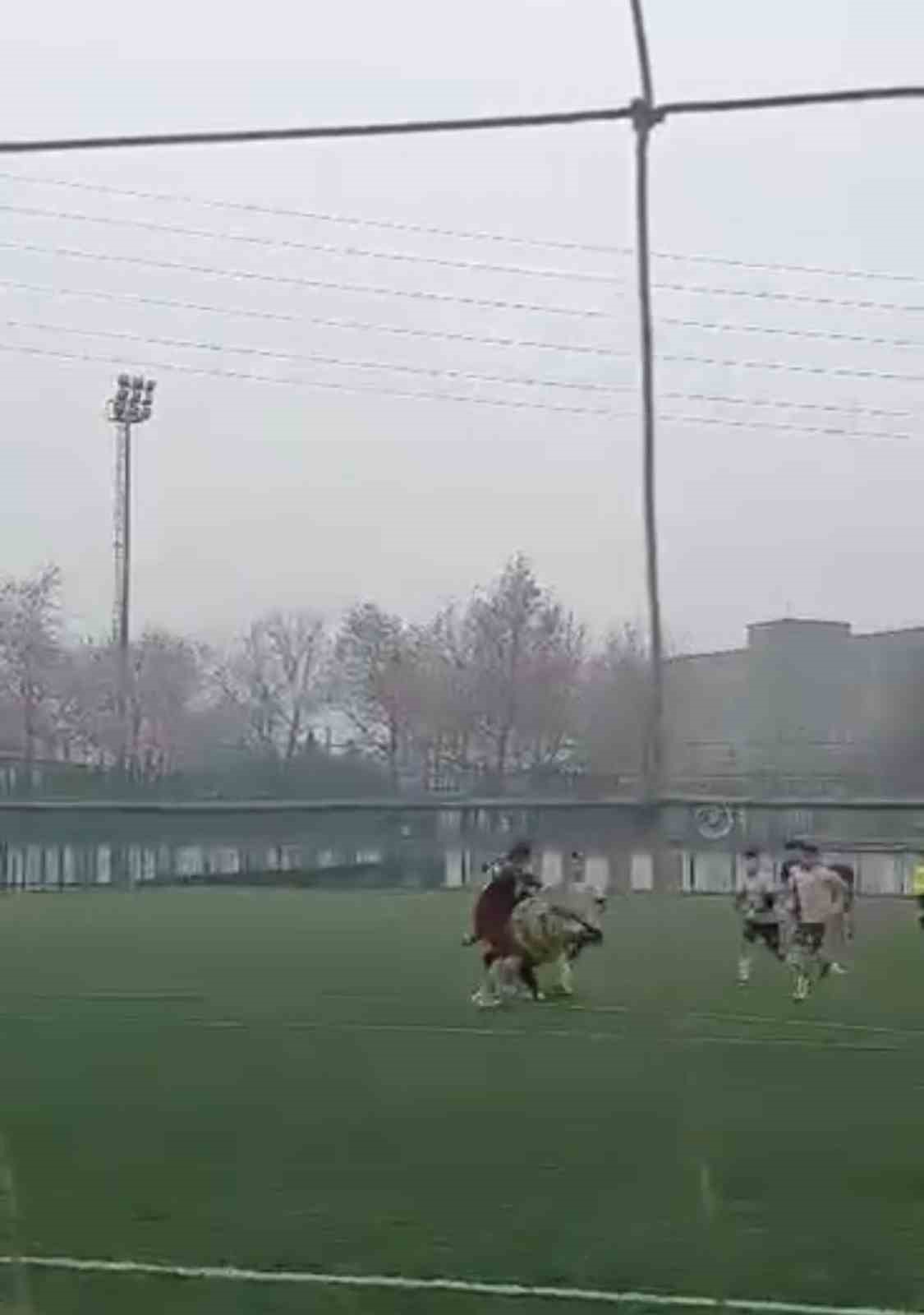 Yeşil saha yerini ringe bıraktı