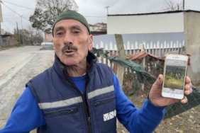 Yılbaşı yaklaşırken, hindi hırsızları kümeslere dadandı