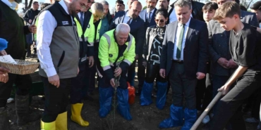 Zeytin fidanları toprakla buluştu