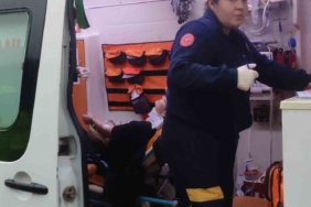 Ağaca çarpan araçtaki 2 kişi yaralandı