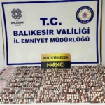 Ayvalık’ta narkotik operasyonu