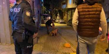 Bandırma’da elinden kurtulan pitbull sokak köpeğine saldırdı
