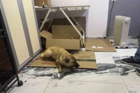 Beylikdüzü’nde yürek ısıtan görüntü