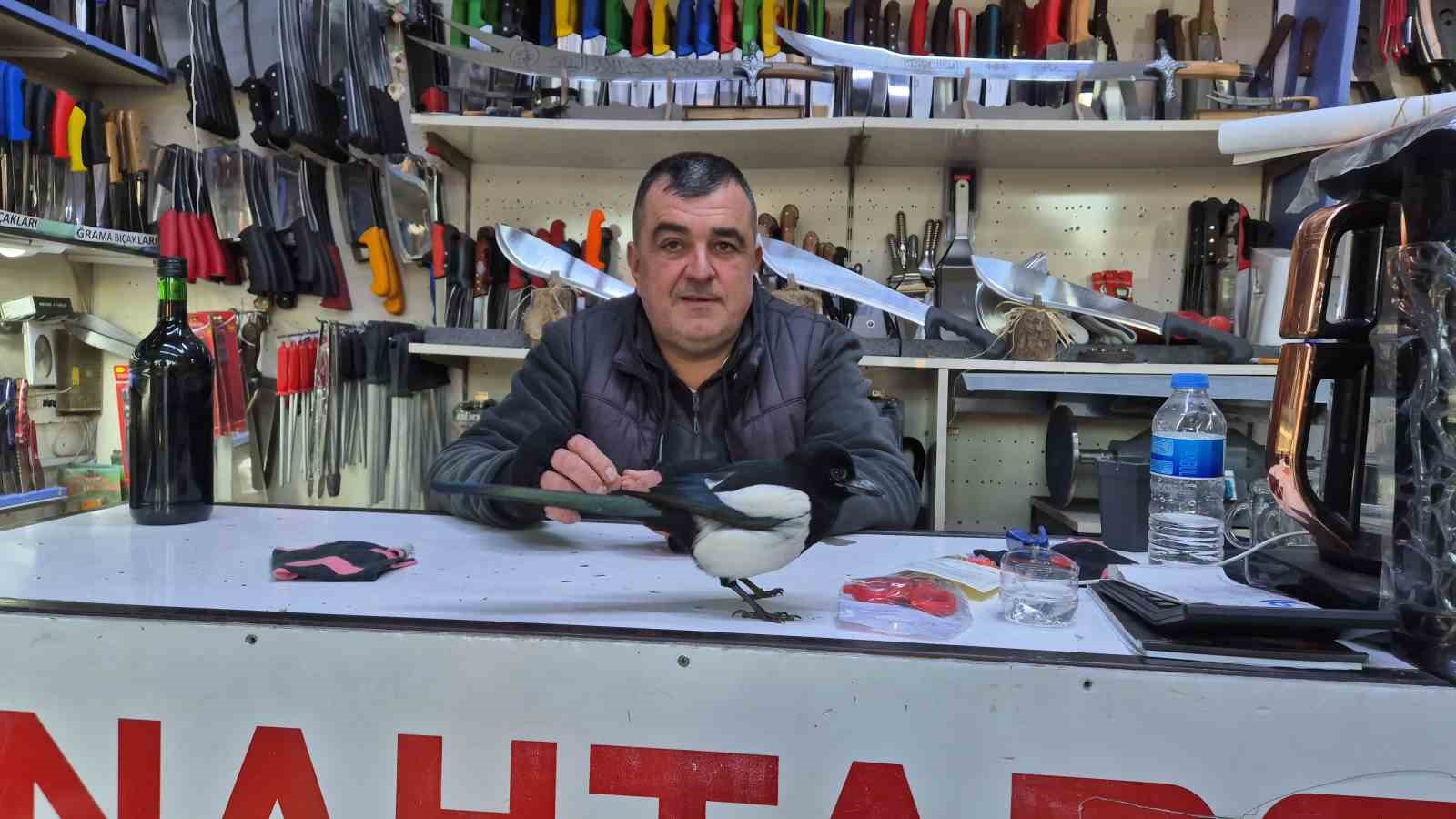 Bıçakçı ile saksağanın sıra dışı dostluğu