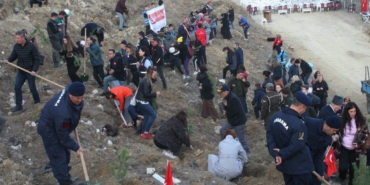 Bilecik’te 473 bin fidan toprakla buluştu
