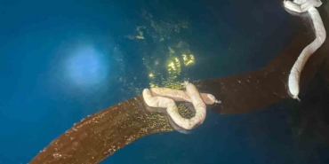 Bozcaada açıklarında slaç basan gemiye 39 milyon TL ceza