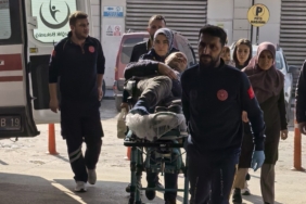 Budadığı ağaçtan düşen şahıs yaralandı