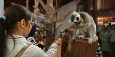 Bursa Hayvanat Bahçesi, öğrencilere tatil süresince ücretsiz