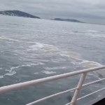 Büyükada’da müsilaj görüldü
