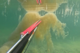 Büyükçekmece’de denizin dibinde korkutan müsilaj manzarası kamerada