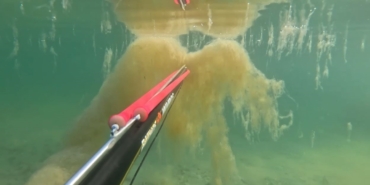 Büyükçekmece’de denizin dibinde korkutan müsilaj manzarası kamerada