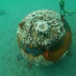 Çanakkale Savaşları’ndan kalma mayın denizde imha edildi