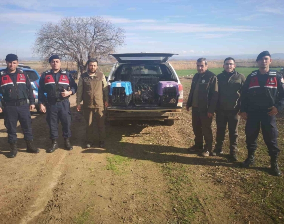 Çanakkale’de kaçak av operasyonuna 70 bin TL ceza