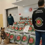 Edirne’de tırda 870 kilo skunk ele geçirildi