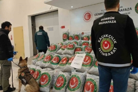 Edirne’de tırda 870 kilo skunk ele geçirildi