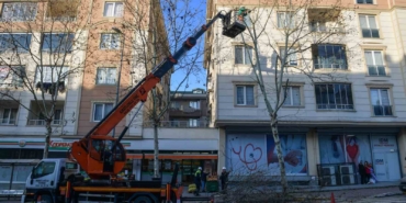 Esenyurt’ta ağaçlar budama çalışmalarıyla güçleniyor