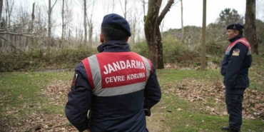 Firar eden ayı havadan ve karadan aranıyor