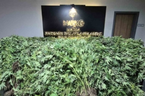 GDO’lu esrar operasyonu