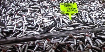 Hamsi yeni yıla ucuzlayarak girdi