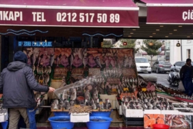 İstanbul’daki balık tezgahları bollaştı ancak alan yok