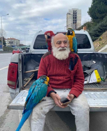 İstanbul’un "Papağanlı Amcası" görenlerin ilgi odağı oluyor