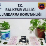 Jandarma’dan 6 ilçede uyuşturucu operasyonu