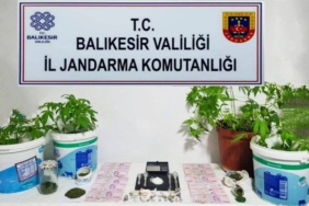 Jandarma’dan 6 ilçede uyuşturucu operasyonu