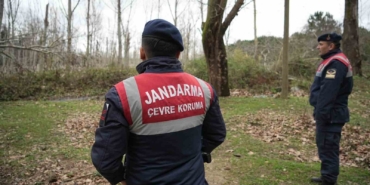 Kaçak ayı 9 gün sonra yakalandı