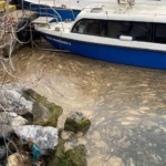 Kadıköy’de deniz yüzeyinde müsilaj tehdidi
