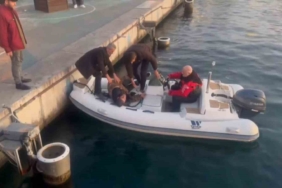 Kadıköy’de denize düşen alkollü olduğu iddia edilen vatandaştan ilginç cevap: "Allah beni boğmuyor”