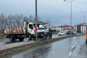 Kamyonet aydınlatma direğine çarptı: 2 yaralı