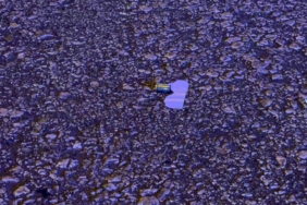 Kasklı motosikletli, 3 kişiye 11 el ateş açarak kayıplara karıştı: 2’si ağır, 3 yaralı