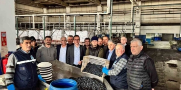 Kaymakam Karaman İznik Zeytin Kooperatifi’ni ziyaret etti