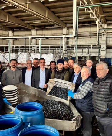 Kaymakam Karaman İznik Zeytin Kooperatifi’ni ziyaret etti