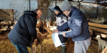 Kırklareli’de küçük ve büyükbaş hayvanların kontrolleri yapıldı