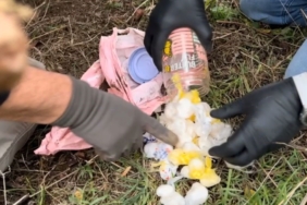 Kırklareli’nde uyuşturucu operasyonu: 6 gözaltı