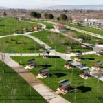 Kocaeli’de son 22 yılda dikilen ağaç sayısı 9 milyonu geçti