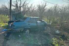 Kontrolden çıkan otomobil direğe çarpıp tarlaya uçtu sürücü yaralandı