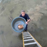 Köprü altında mahsur kalan kediyi itfaiye kurtardı