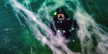 Marmara Denizi’ndeki müsilaj tehdidine karşı işbirliği çağrısı