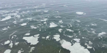 Mudanya’yı müsilaj sardı, deniz beyaz tabakayla örtüldü