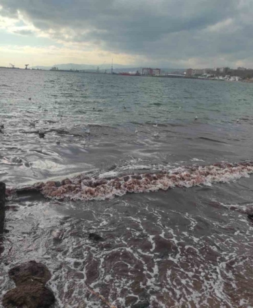 Poyraz fırtınası Marmara Denizi’ni kıyılarını kızıl renge boyadı
